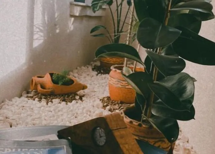 Hotel Kallinos Boutique *